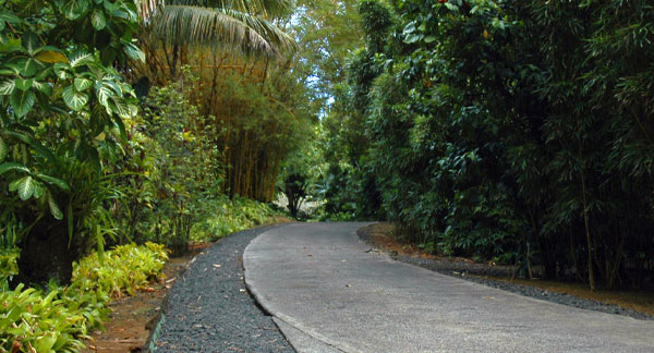 Smith’s Tropical Paradise