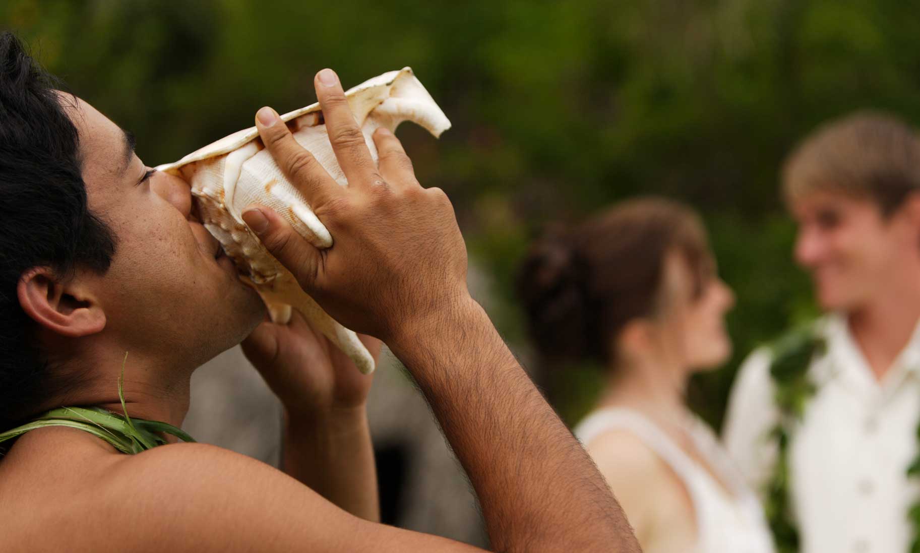 Weddings at Smith’s Tropical Paradise and the Fern Grotto