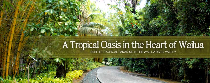 Smith's Tropical Paradise